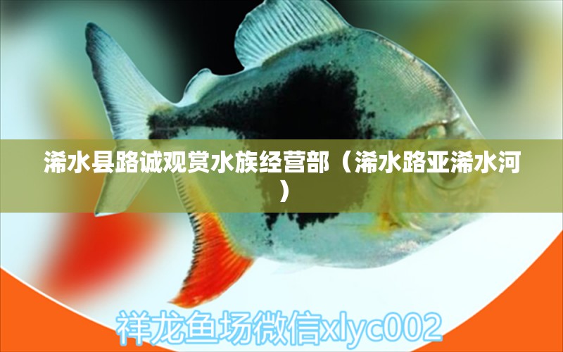 浠水縣路誠(chéng)觀賞水族經(jīng)營(yíng)部（浠水路亞浠水河）