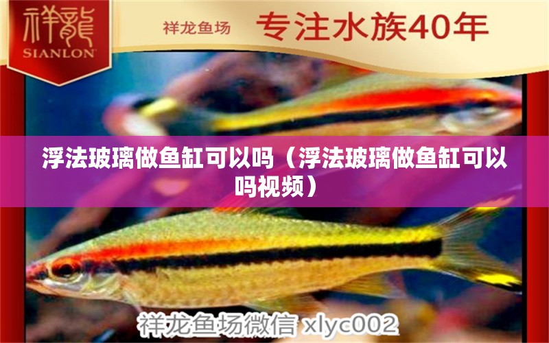 浮法玻璃做魚缸可以嗎（浮法玻璃做魚缸可以嗎視頻）