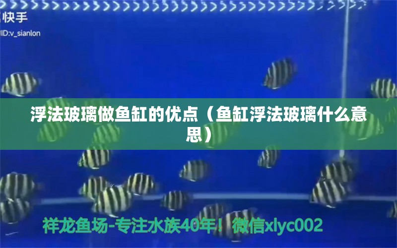 浮法玻璃做魚缸的優(yōu)點(diǎn)（魚缸浮法玻璃什么意思）