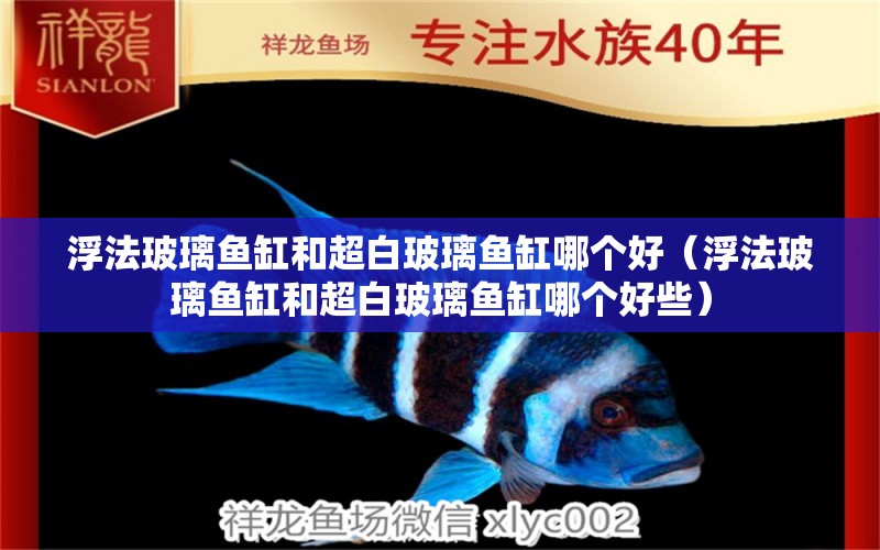 浮法玻璃魚缸和超白玻璃魚缸哪個好（浮法玻璃魚缸和超白玻璃魚缸哪個好些）