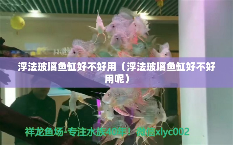 浮法玻璃魚缸好不好用（浮法玻璃魚缸好不好用呢） 祥龍水族醫(yī)院