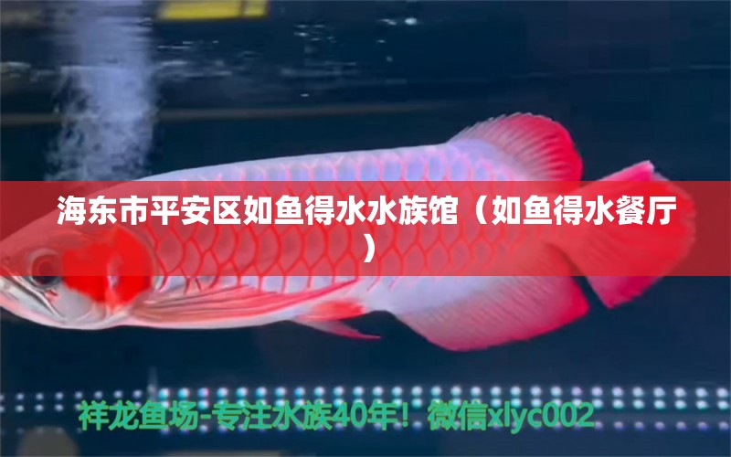 海東市平安區(qū)如魚得水水族館（如魚得水餐廳） 全國水族館企業(yè)名錄