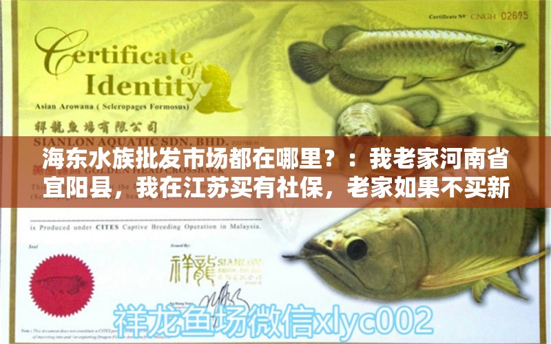 海東水族批發(fā)市場(chǎng)都在哪里？：我老家河南省宜陽(yáng)縣，我在江蘇買有社保，老家如果不買新農(nóng)合全家都買不了，怎么辦 觀賞魚水族批發(fā)市場(chǎng)