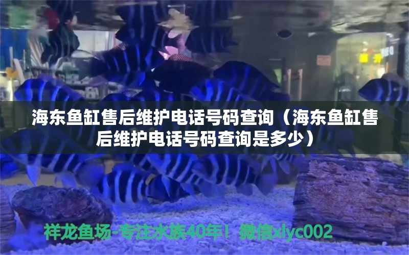 海東魚缸售后維護(hù)電話號(hào)碼查詢（海東魚缸售后維護(hù)電話號(hào)碼查詢是多少）