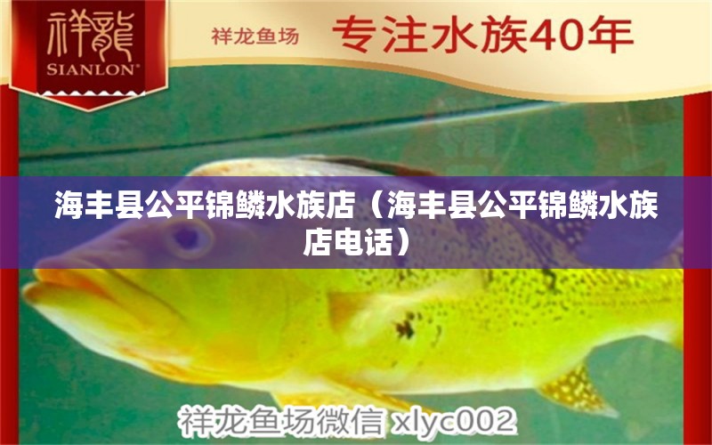 海豐縣公平錦鱗水族店（海豐縣公平錦鱗水族店電話） 全國水族館企業(yè)名錄