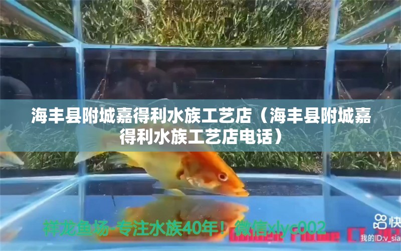 海豐縣附城嘉得利水族工藝店（海豐縣附城嘉得利水族工藝店電話）