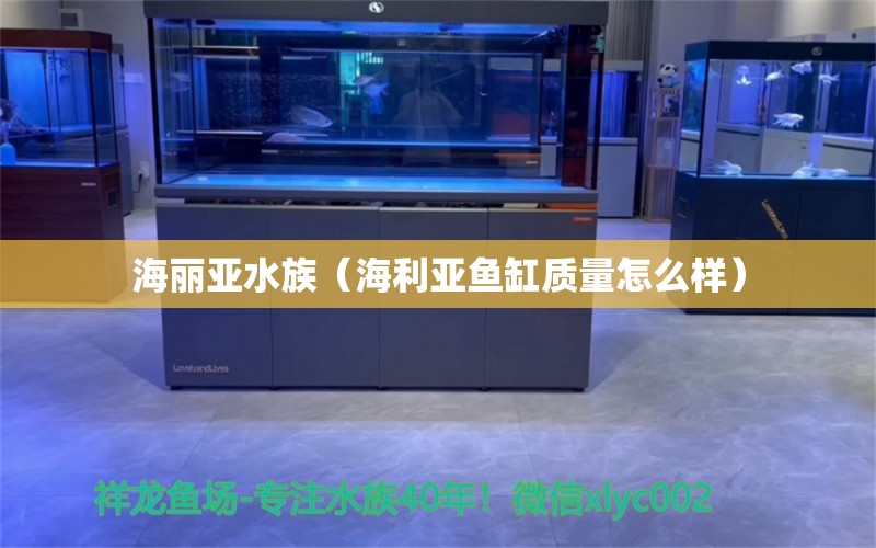 海麗亞水族（海利亞魚缸質(zhì)量怎么樣） 全國水族館企業(yè)名錄