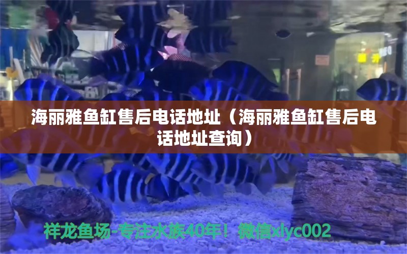 海麗雅魚缸售后電話地址（海麗雅魚缸售后電話地址查詢）