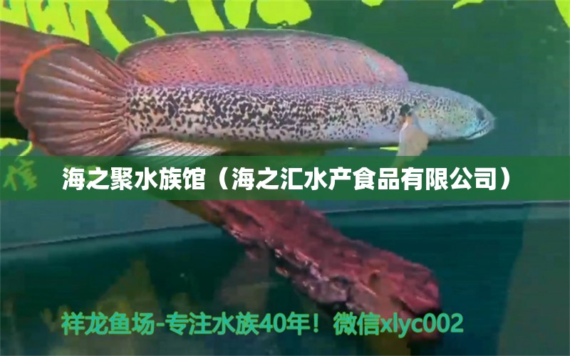 海之聚水族館（海之匯水產(chǎn)食品有限公司）