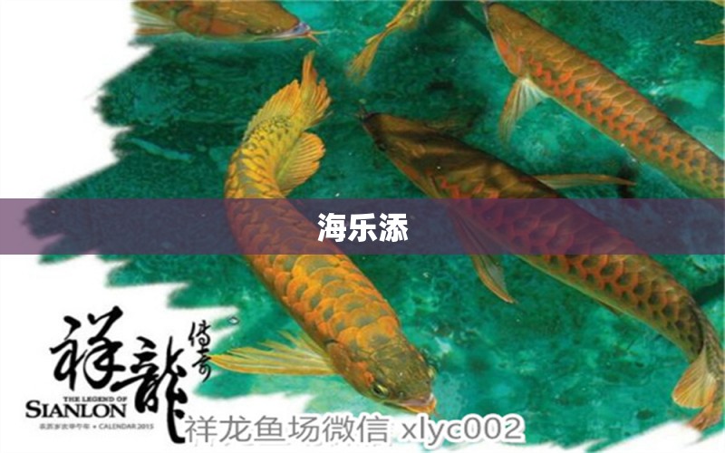 海樂添 觀賞魚論壇 第2張