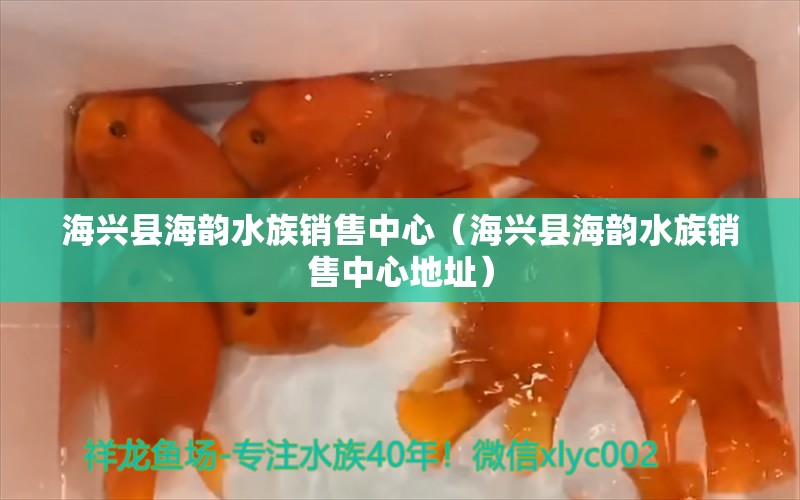 海興縣海韻水族銷售中心（海興縣海韻水族銷售中心地址） 全國水族館企業(yè)名錄