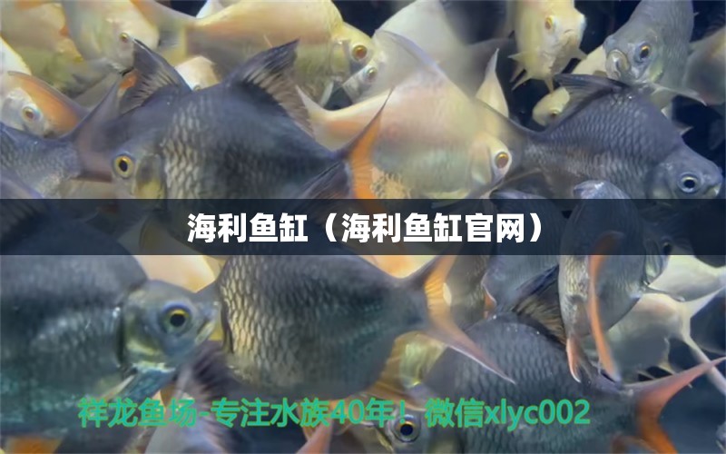 海利魚缸（海利魚缸官網(wǎng)）