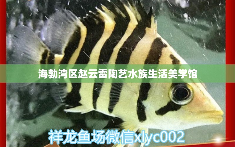 海勃灣區(qū)趙云雷陶藝水族生活美學館