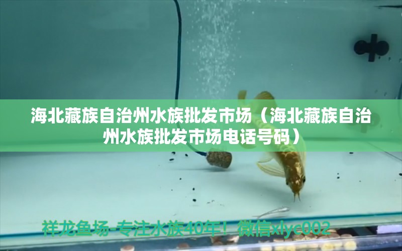 海北藏族自治州水族批發(fā)市場（海北藏族自治州水族批發(fā)市場電話號碼）