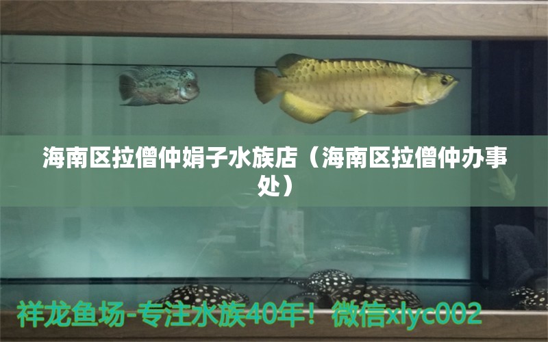 海南區(qū)拉僧仲娟子水族店（海南區(qū)拉僧仲辦事處） 全國水族館企業(yè)名錄