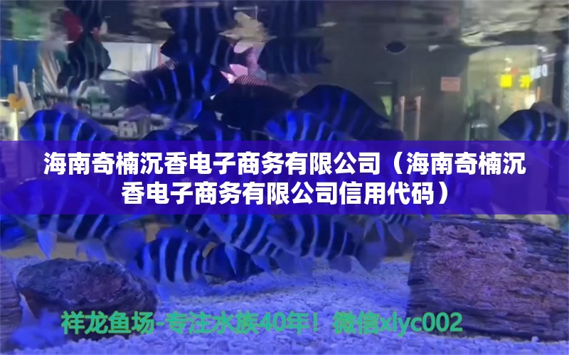 海南奇楠沉香電子商務(wù)有限公司（海南奇楠沉香電子商務(wù)有限公司信用代碼） 文玩