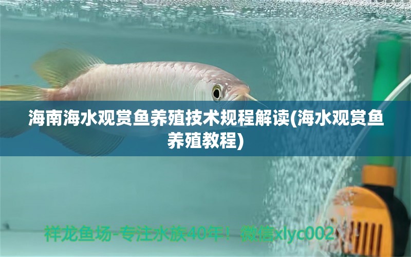 海南海水觀賞魚(yú)養(yǎng)殖技術(shù)規(guī)程解讀(海水觀賞魚(yú)養(yǎng)殖教程) 二氧化碳設(shè)備