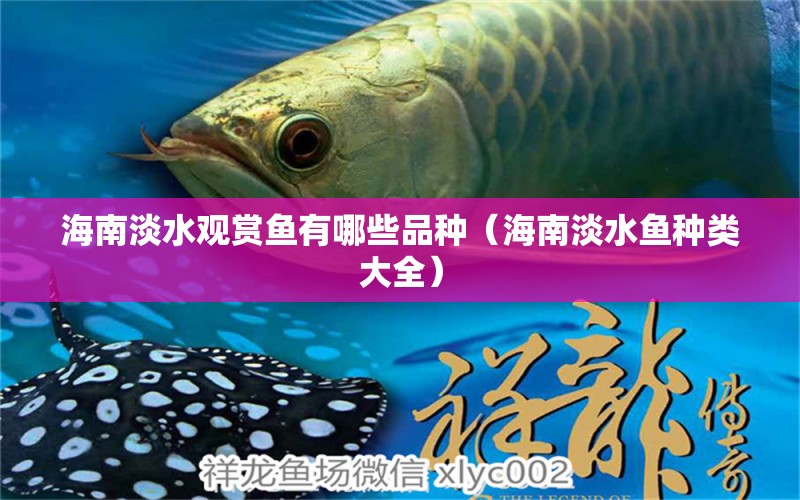 海南淡水觀賞魚(yú)有哪些品種（海南淡水魚(yú)種類大全） 招財(cái)戰(zhàn)船魚(yú)