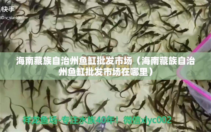 海南藏族自治州魚缸批發(fā)市場(chǎng)（海南藏族自治州魚缸批發(fā)市場(chǎng)在哪里） 觀賞魚水族批發(fā)市場(chǎng)