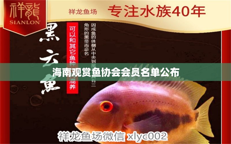 海南觀賞魚協(xié)會(huì)會(huì)員名單公布