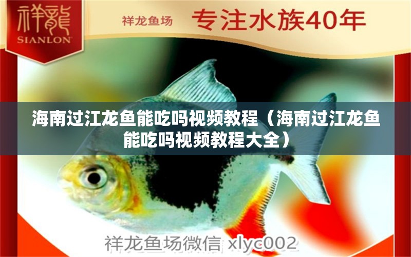 海南過江龍魚能吃嗎視頻教程（海南過江龍魚能吃嗎視頻教程大全） 祥龍魚場