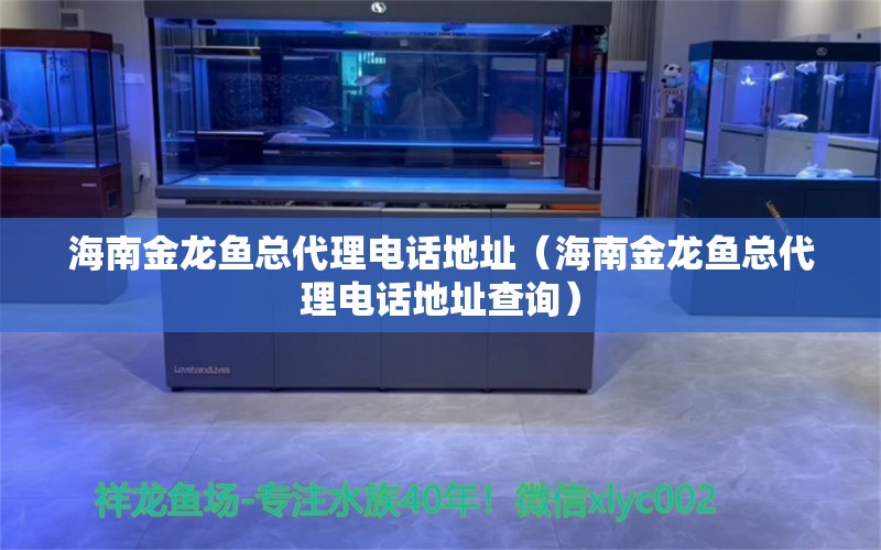 海南金龍魚總代理電話地址（海南金龍魚總代理電話地址查詢） 海水魚（海水魚批發(fā)）