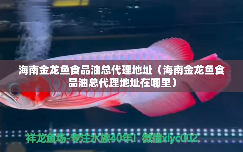 海南金龍魚食品油總代理地址（海南金龍魚食品油總代理地址在哪里）