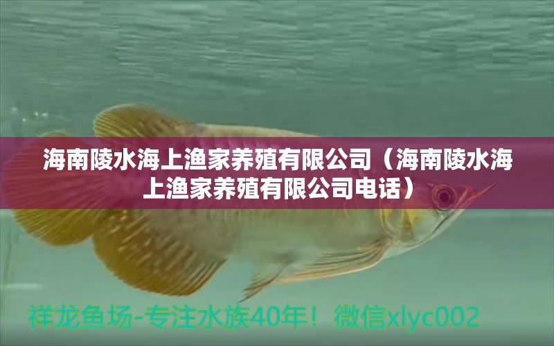 海南陵水海上漁家養(yǎng)殖有限公司（海南陵水海上漁家養(yǎng)殖有限公司電話）