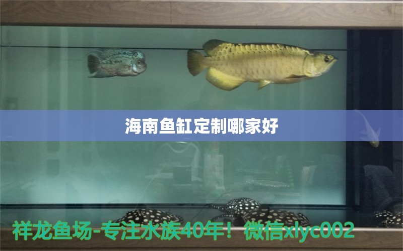 海南魚缸定制哪家好