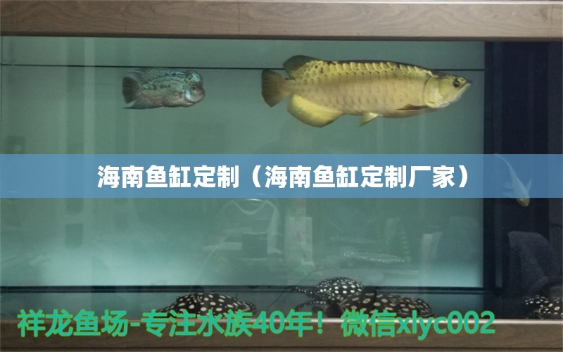 海南魚缸定制（海南魚缸定制廠家）