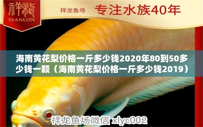 海南黃花梨價(jià)格一斤多少錢2020年80到50多少錢一顆（海南黃花梨價(jià)格一斤多少錢2019） 文玩