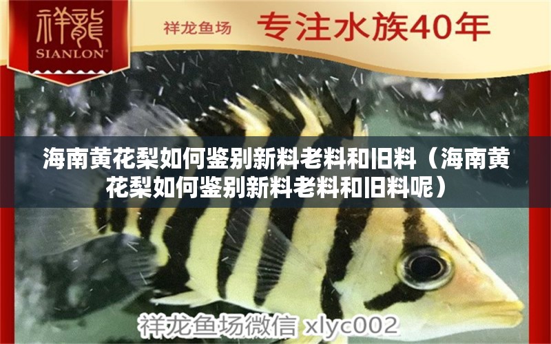 海南黃花梨如何鑒別新料老料和舊料（海南黃花梨如何鑒別新料老料和舊料呢）