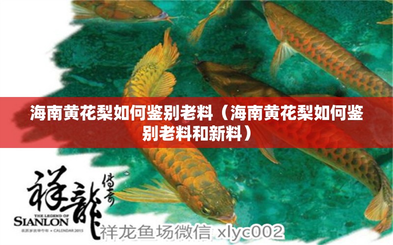 海南黃花梨如何鑒別老料（海南黃花梨如何鑒別老料和新料）