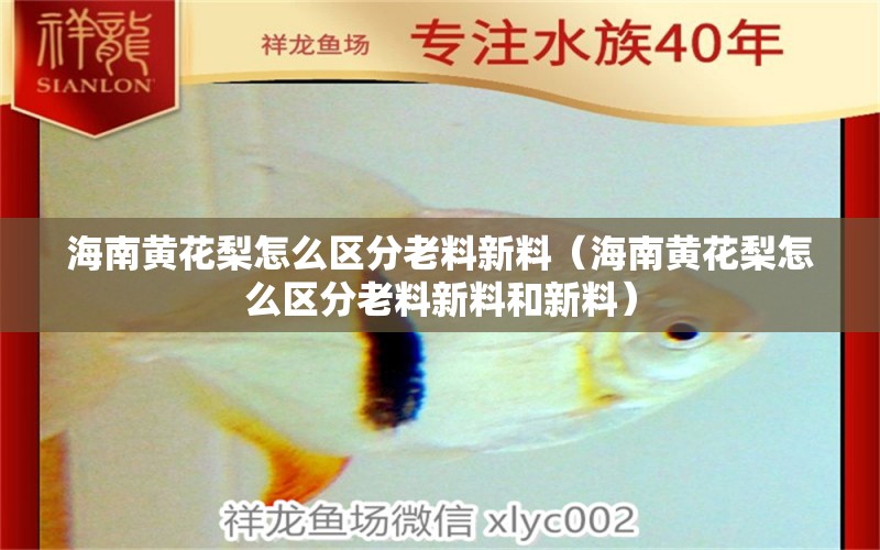 海南黃花梨怎么區(qū)分老料新料（海南黃花梨怎么區(qū)分老料新料和新料）