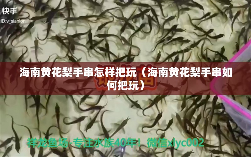 海南黃花梨手串怎樣把玩（海南黃花梨手串如何把玩） 文玩