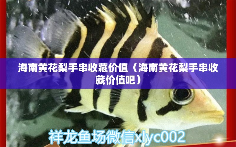 海南黃花梨手串收藏價值（海南黃花梨手串收藏價值吧）