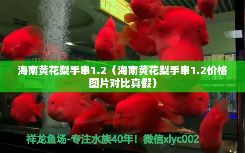 海南黃花梨手串1.2（海南黃花梨手串1.2價(jià)格圖片對(duì)比真假）