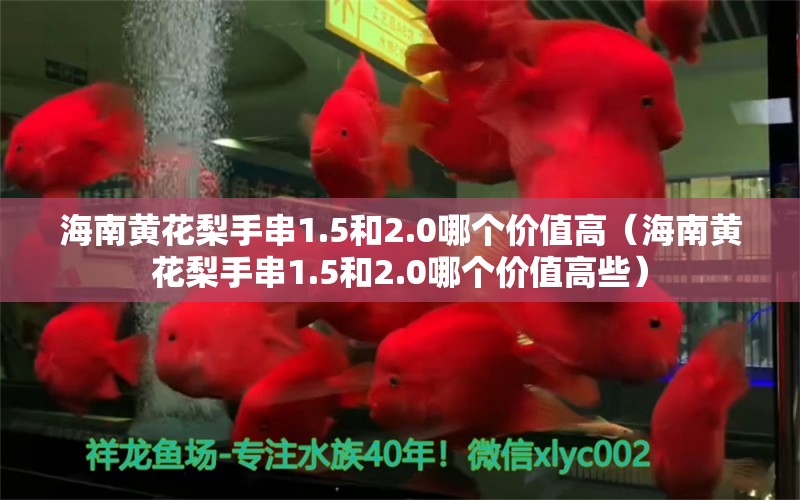 海南黃花梨手串1.5和2.0哪個價值高（海南黃花梨手串1.5和2.0哪個價值高些）