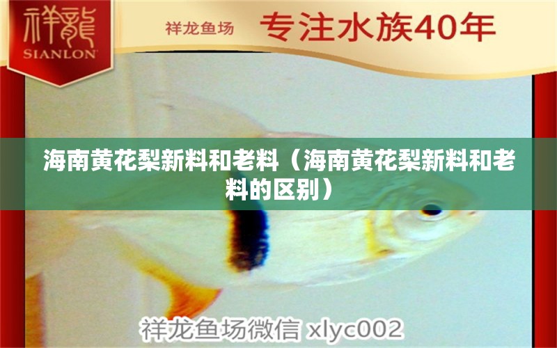 海南黃花梨新料和老料（海南黃花梨新料和老料的區(qū)別）