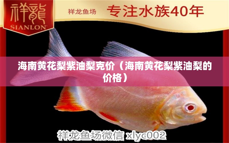 海南黃花梨紫油梨克價(jià)（海南黃花梨紫油梨的價(jià)格） 文玩