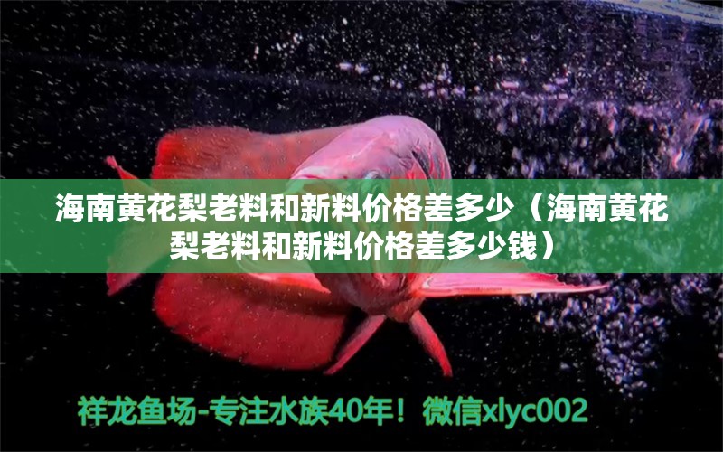 海南黃花梨老料和新料價格差多少（海南黃花梨老料和新料價格差多少錢） 文玩