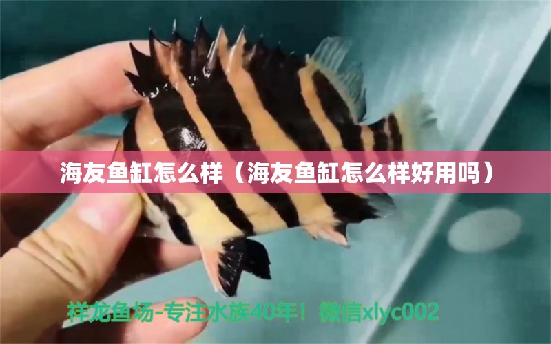 海友魚缸怎么樣（海友魚缸怎么樣好用嗎）