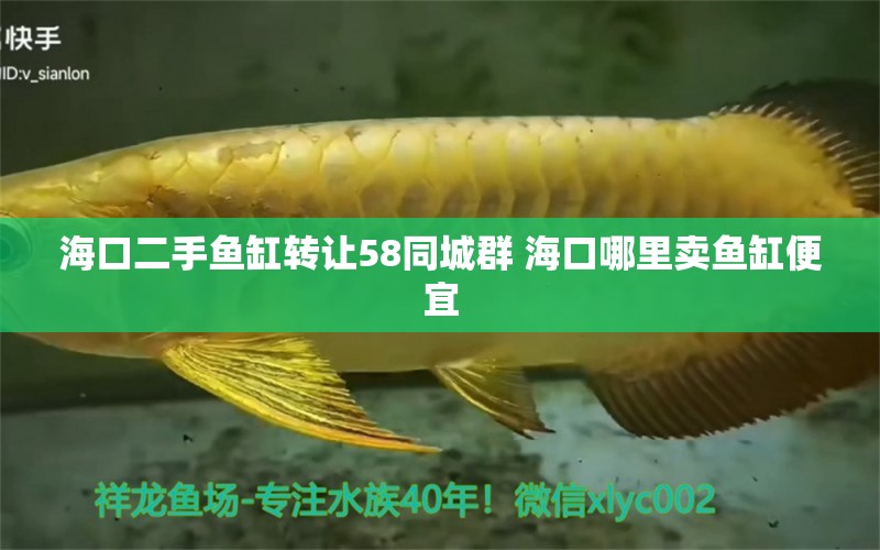 海口二手魚缸轉(zhuǎn)讓58同城群 ?？谀睦镔u魚缸便宜