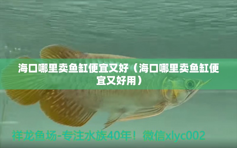 海口哪里賣魚(yú)缸便宜又好（?？谀睦镔u魚(yú)缸便宜又好用）