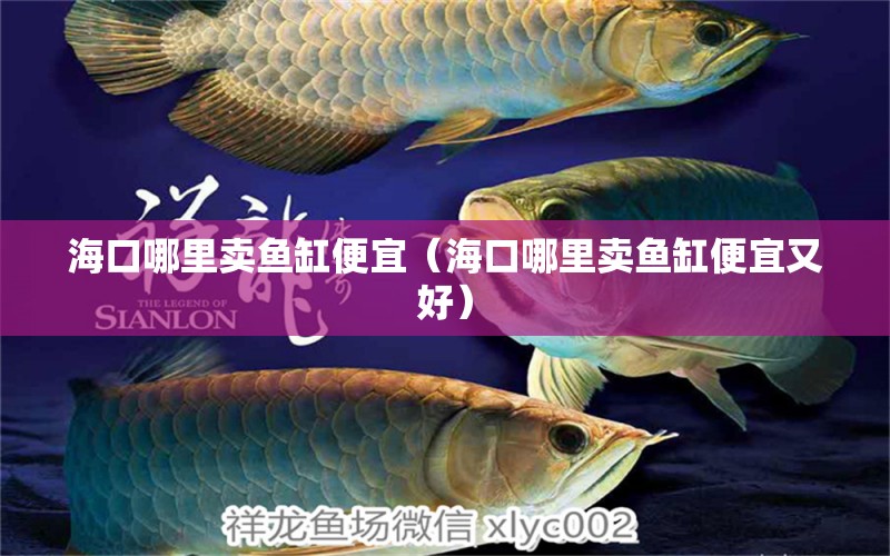 海口哪里賣魚缸便宜（?？谀睦镔u魚缸便宜又好） 其他品牌魚缸