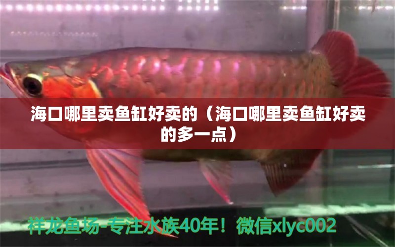 ?？谀睦镔u魚缸好賣的（?？谀睦镔u魚缸好賣的多一點）