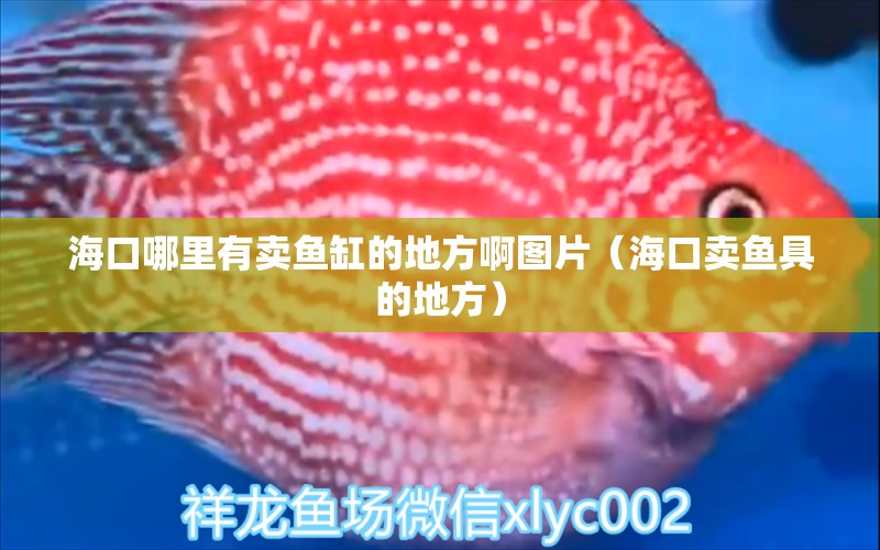 ?？谀睦镉匈u魚缸的地方啊圖片（?？谫u魚具的地方） 魚缸/水族箱