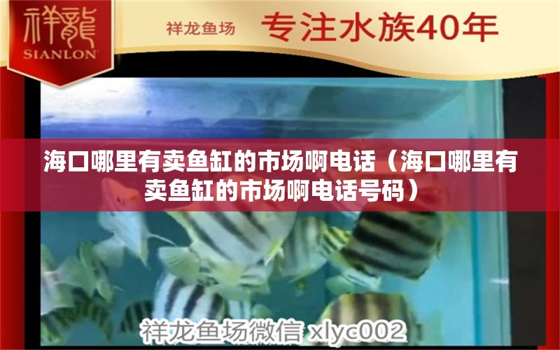 ?？谀睦镉匈u魚缸的市場啊電話（?？谀睦镉匈u魚缸的市場啊電話號碼）