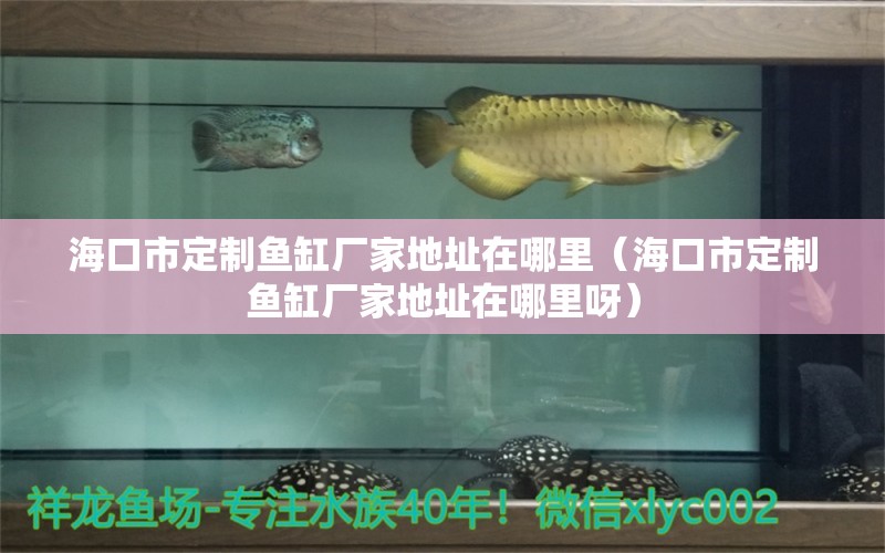 ?？谑卸ㄖ启~缸廠家地址在哪里（海口市定制魚缸廠家地址在哪里呀） 除藻劑