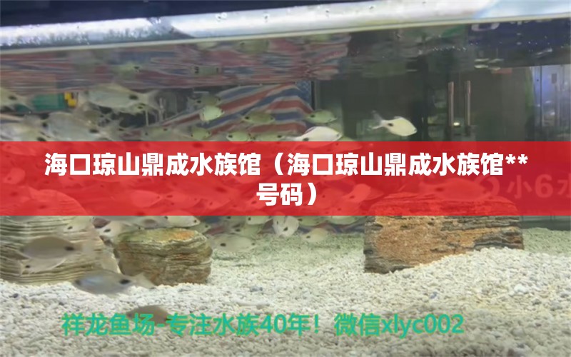 海口瓊山鼎成水族館（?？诃偵蕉Τ伤屦^**號碼） 全國水族館企業(yè)名錄